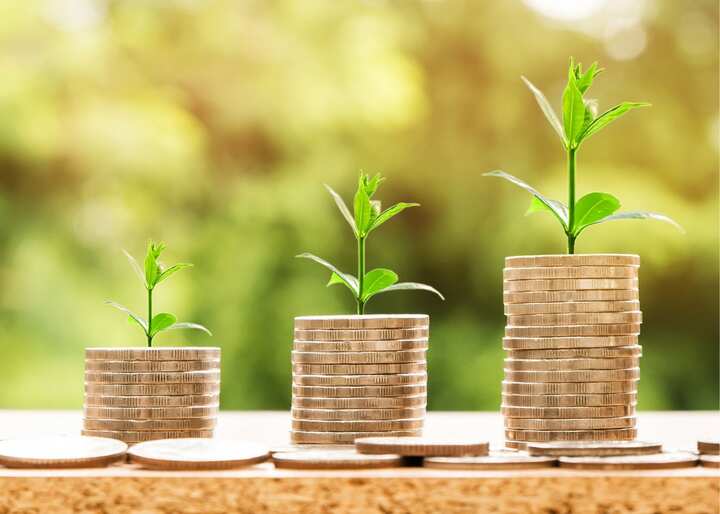 stack of money growing plants to represent finances after the help of bakersfield credit repair ca